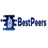 BESTPEERS LLC Avatar