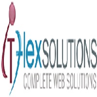 IT FLEX SOLUTIONS Avatar