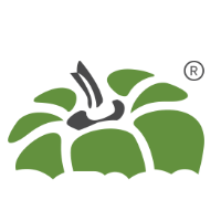 Capsicum Mediaworks Avatar