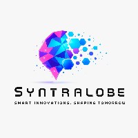 Syntralobe Dynamic Innovations Private Limited Avatar