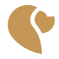 Zodiac Digital Consulting Avatar