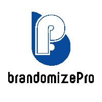 BrandomizePro | Full-Scale Dropshipping & Digital Services Avatar