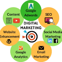 Digital Marketing Hub (SEO/SMM/SEM) Avatar