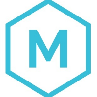 Mossless Digital Avatar
