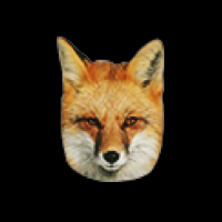 Foxlike IT Avatar
