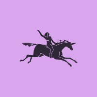 The Unicorn Avatar