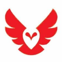 Red Owl IT Avatar