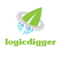 Logicdigger Infotech Avatar