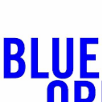 Blue it ltd Avatar