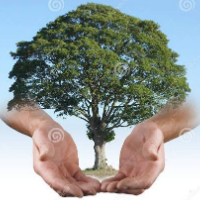 Elegant Info Solutions Avatar