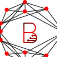 Blockchain Expert Solutions Avatar