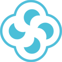 Survin IT Solutions Pvt Ltd Avatar