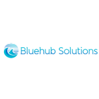 BlueHub Avatar