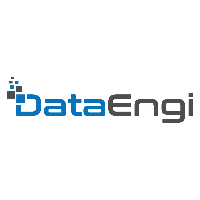 DataEngi Avatar