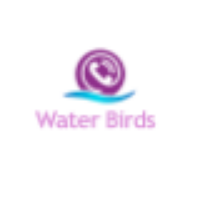Water Birds Avatar