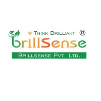 Brillsense Avatar