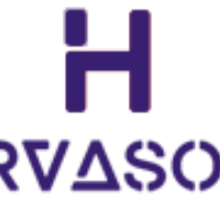 HirvaSoft.com Avatar