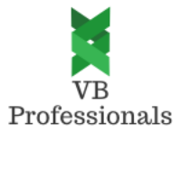 VB Professionals Avatar