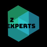 Z Experts Marketing (Marketing, Clickfunnels, Graphics, Animation, Video Editing, Wordpress Dev) Avatar