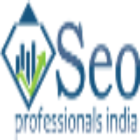SEO Professionals India Avatar