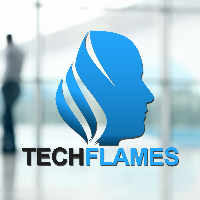The Tech Flames Avatar
