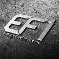 Online Freelance Experts Inc Avatar