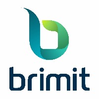 Brimit. Salesforce consulting and development. Avatar