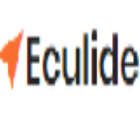 Eculides Info Tech Avatar