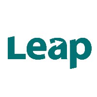 The Digital Leap Avatar