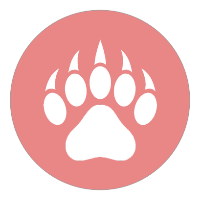 Polar App Development Avatar