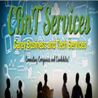 Carey Business and Tech Services Avatar