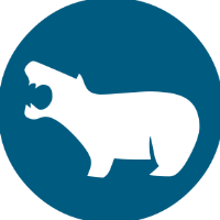 Hippo Consultants Avatar