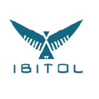 Ibitol Technologies Avatar