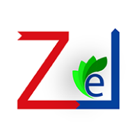 Zillion Inc. Avatar